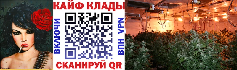 Где можно купить наркотики Курильск СК Кокаин Меф мяу мяу АМФЕТАМИН OMG ТОР ГАШИШ