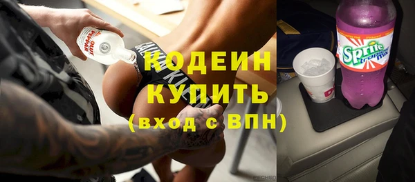 гашик Кодинск