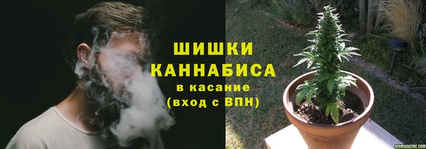 ГАЛЛЮЦИНОГЕННЫЕ ГРИБЫ Корсаков