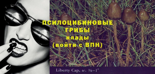 ГАЛЛЮЦИНОГЕННЫЕ ГРИБЫ Корсаков