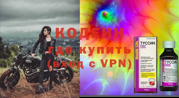 ГАЛЛЮЦИНОГЕННЫЕ ГРИБЫ Корсаков
