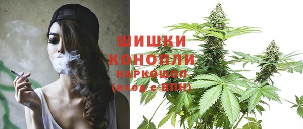 мдпв Костерёво