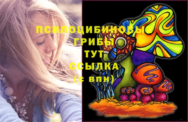 мдпв Костерёво