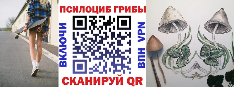 блэк спрут ссылка Курильск Псилоцибиновые грибы Magic Shrooms купить закладку
